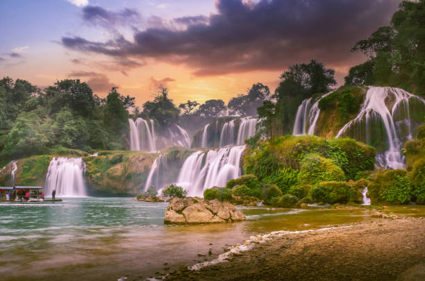 The Future of Healing: How Stem Cell & PRP Therapy in Vietnam Outperforms Traditional Surgery